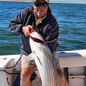 Meet your Posher, Jack